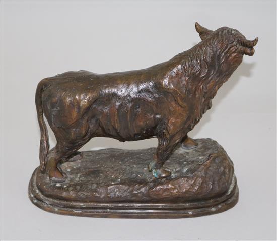 An animalier bronze model of a Highland bull, 9in.